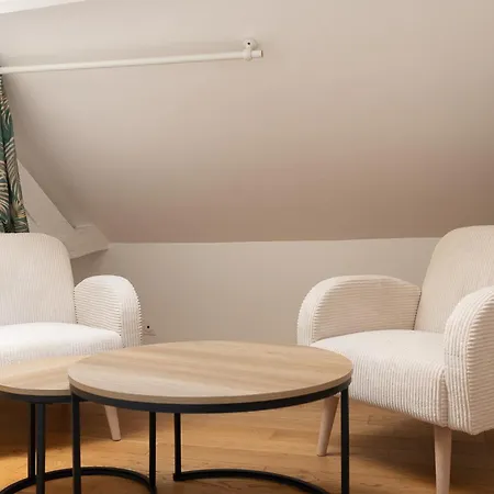Cosy Sous Les Toits, Centre 公寓 *
