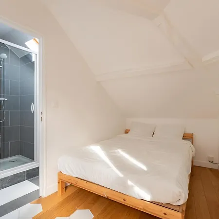 Cosy Sous Les Toits, Centre 公寓 *